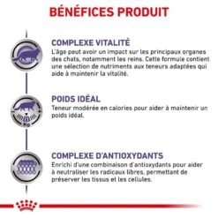 Royal Canin Veterinary Chat Mature Consult Balance 12 X 85 G -Animal Compagnie Boutique royal canin veterinary chat mature consult balance 12 x 85 g 3