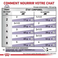 Royal Canin Veterinary Chat Mature Consult Balance 12 X 85 G -Animal Compagnie Boutique royal canin veterinary chat mature consult balance 12 x 85 g 5