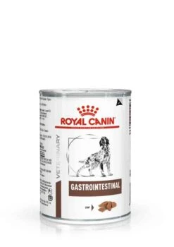 Royal Canin Vet Chien Gastrointestinal 12 X 400 G