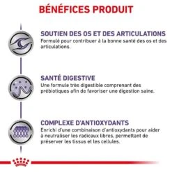 Royal Canin Veterinary Large Dog Adult 4 Kg -Animal Compagnie Boutique royal canin veterinary large dog adult 4 kg 4