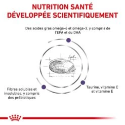 Royal Canin Veterinary Medium Dog Adult 10 Kg -Animal Compagnie Boutique royal canin veterinary medium dog adult 10 kg 3