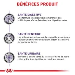 Royal Canin Veterinary Small Dog Adult 8 Kg -Animal Compagnie Boutique royal canin veterinary small dog adult 8 kg 4