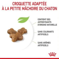 Royal Canin Féline Health Nutrition Kitten Second Age 400 G -Animal Compagnie Boutique royal canin f line health nutrition kitten second age 4
