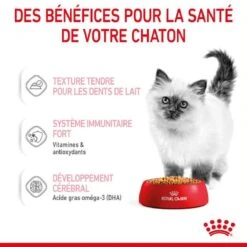 Royal Canin Kitten Sachet En Gelée 12 X 85 G -Animal Compagnie Boutique royal canin kitten sachet en gel e 12 x 85 g 3