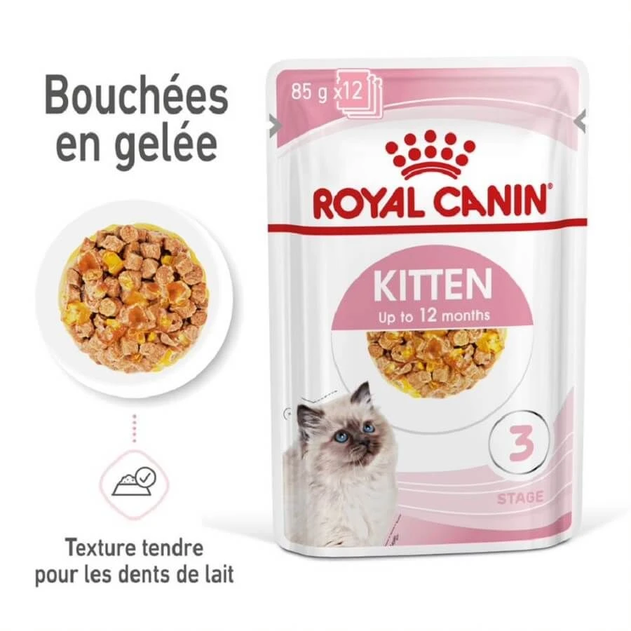 Royal Canin Kitten Sachet En Gelée 12 X 85 G – Image 4