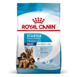 Royal Canin Vet Maxi Starter Mother And Babydog 4 Kg -Animal Compagnie Boutique royal canin maxi starter mother and babydog 10 1