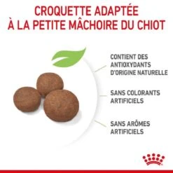 Royal Canin Vet Puppy Medium 15 Kg -Animal Compagnie Boutique royal canin puppy medium 1 1 1