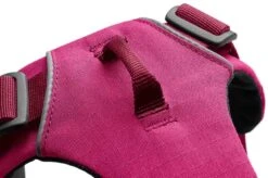 Ruffwear Harnais Front Range Rose Hibiscus L-XL -Animal Compagnie Boutique ruffwear harnais front range rose hibiscus xxs3 4