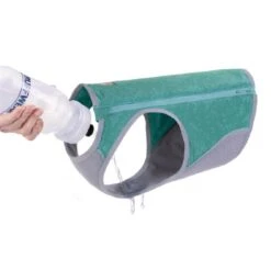 Ruffwear Swamp Cooler Gilet Zip Aurora Teal Chien XL 5 Ruffwear Swamp Cooler Gilet Zip Aurora Teal Chien XL -Animal Compagnie Boutique ruffwear swamp cooler gilet zip aurora teal chien 2 5