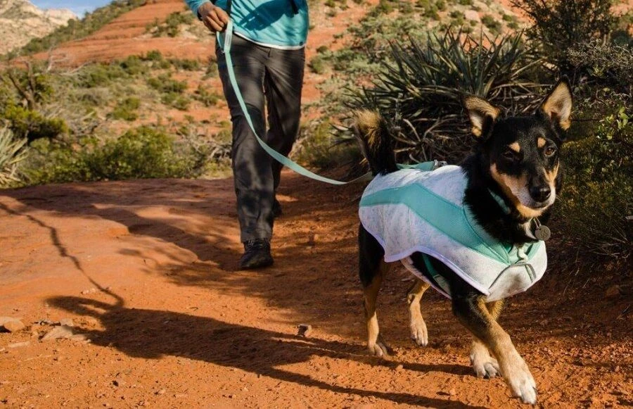 Ruffwear Veste Swamp Cooler Sage Green XS 2 Ruffwear Veste Swamp Cooler Sage Green XS – Image 2