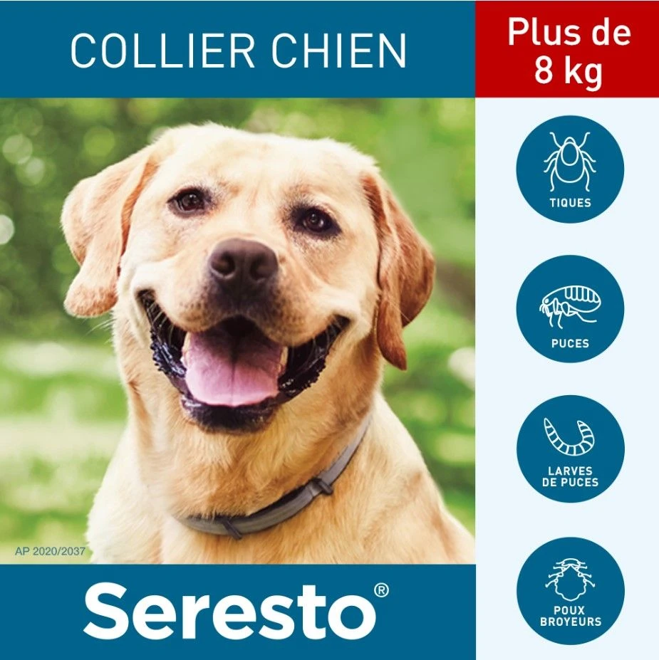 Seresto Collier Antiparasitaire Grand Chien X2 2 Seresto Collier Antiparasitaire Grand Chien X2 – Image 2