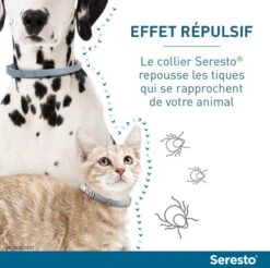 Seresto Collier Antiparasitaire Chat X2 -Animal Compagnie Boutique serestochatchien