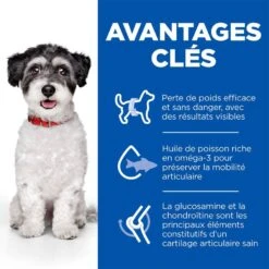 Hill's Science Plan Hill's Science Plan Perfect Weight Mobility Petit Chien 6 Kg -Animal Compagnie Boutique sp mini 1