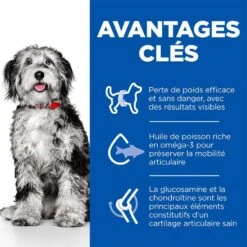 Hill's Science Plan Hill's Science Plan Perfect Weight Mobility Medium Chien 12 Kg -Animal Compagnie Boutique sp moyen 3