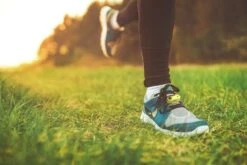 Tickless Run Rechargeable -Animal Compagnie Boutique tickless run vert rechargeable3