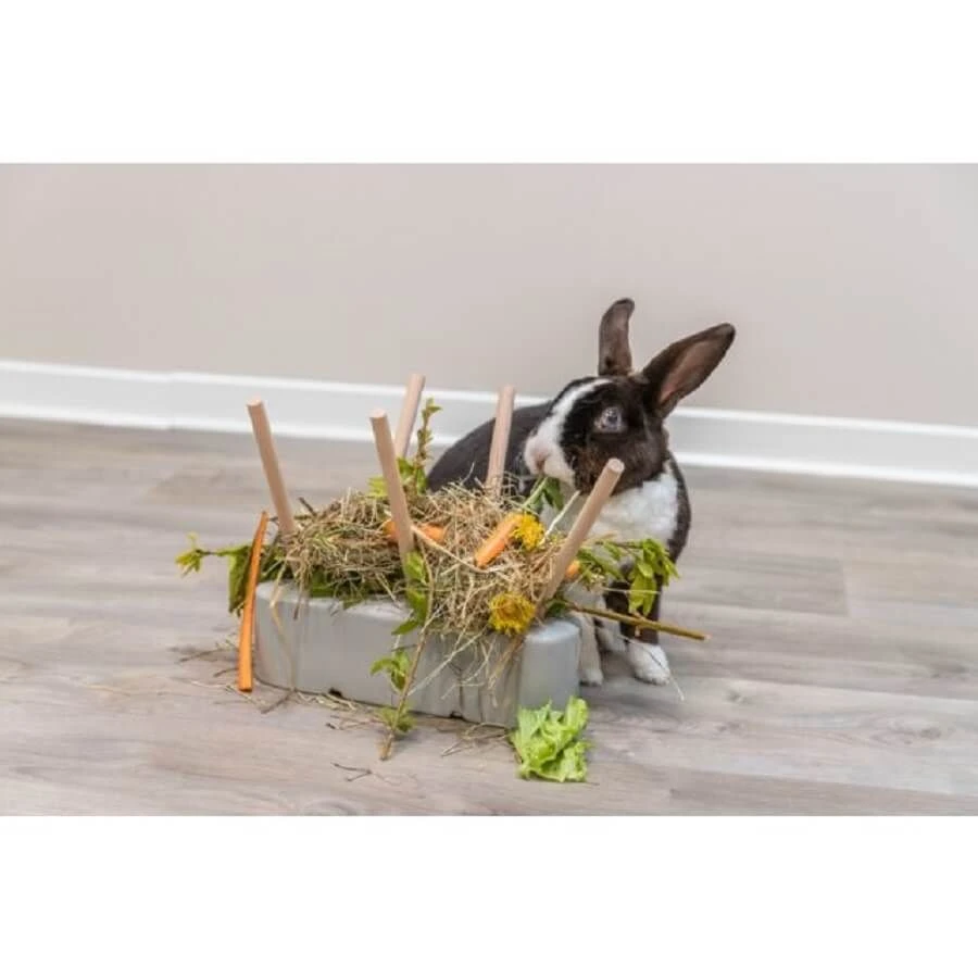 Trixie Mangeoire Pour Rongeurs 26 X 23 X 17 Cm 5 Trixie Mangeoire Pour Rongeurs 26 X 23 X 17 Cm – Image 5