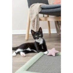 Trixie Tapis à Gratter Junior Chat 47 X 47 Cm 5 Trixie Tapis à Gratter Junior Chat 47 X 47 Cm -Animal Compagnie Boutique trixie tapis a gratter junior 47 x 47 cm 3