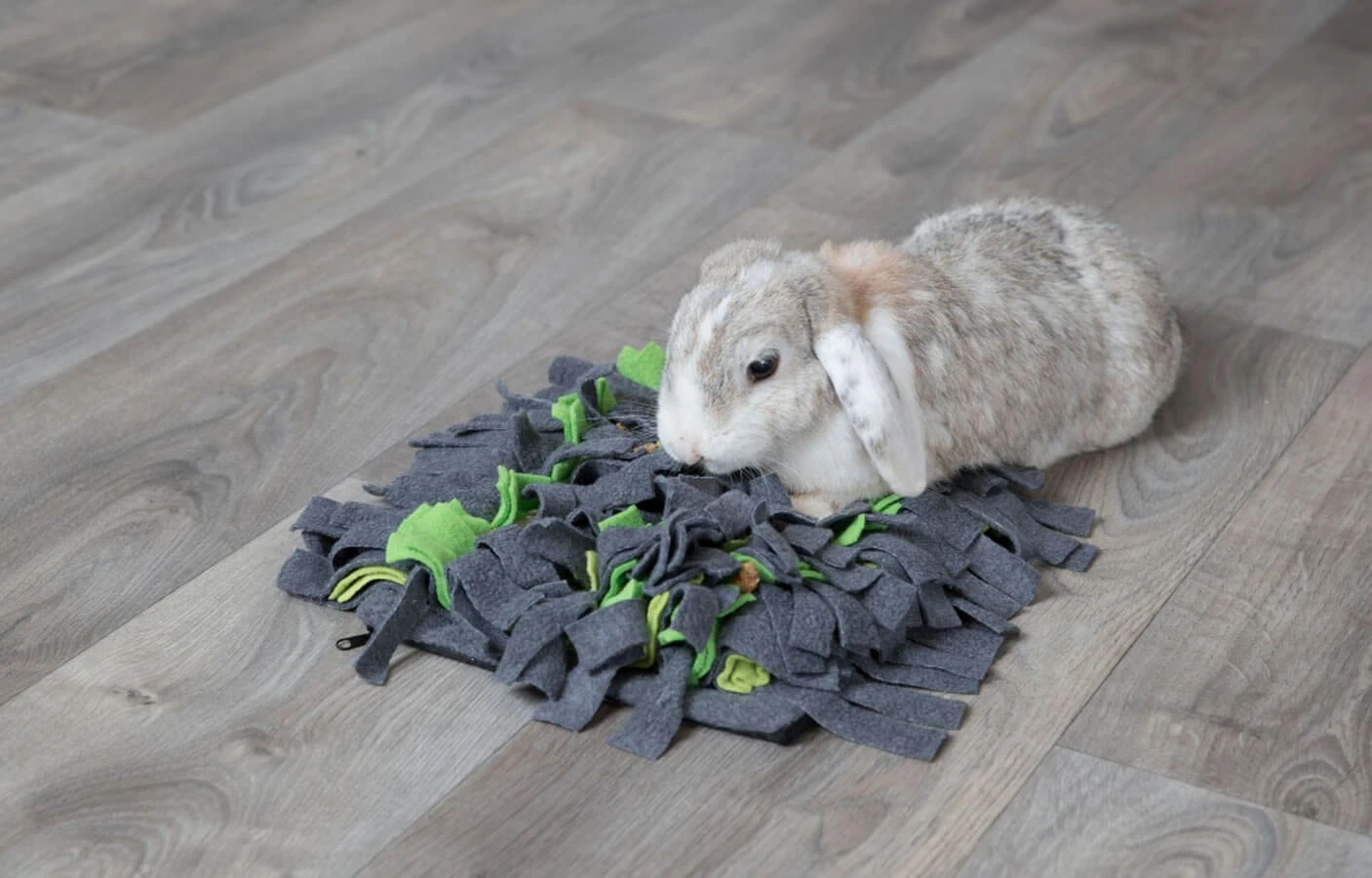 Trixie Tapis à Renifler Pour Lapin Et Cochon D'inde 27 × 20 Cm 4 Trixie Tapis à Renifler Pour Lapin Et Cochon D'inde 27 × 20 Cm – Image 4