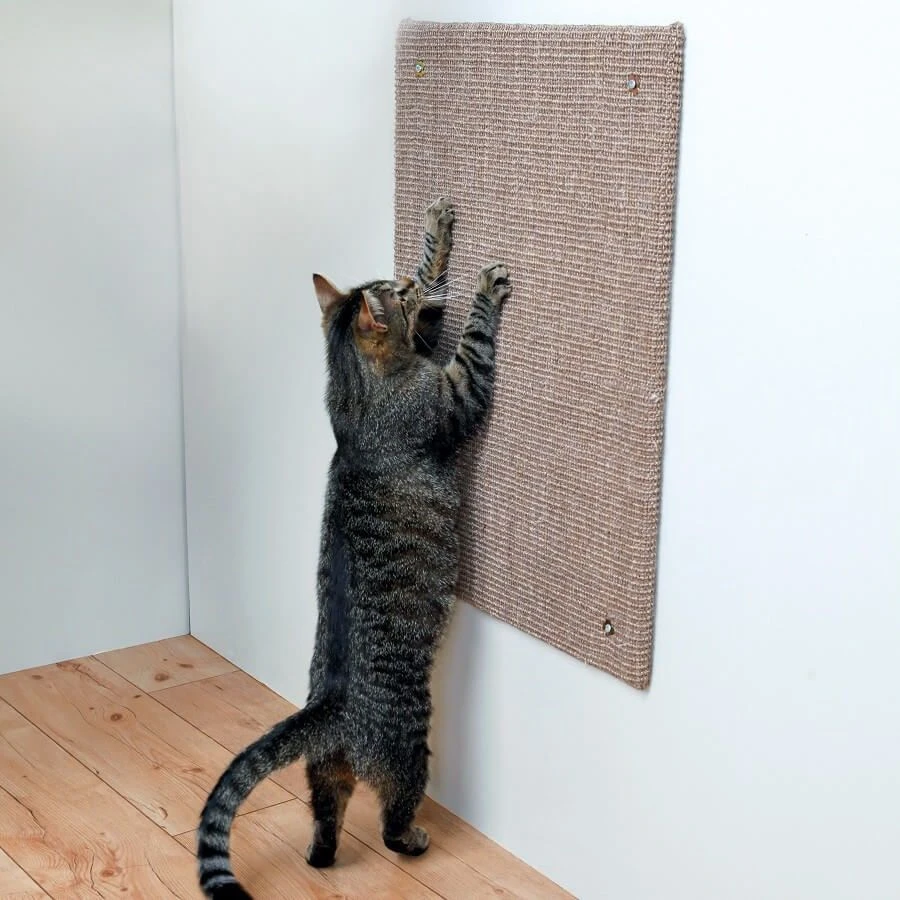 Trixie Griffoir XL Pour Chat 50 X 70 Cm Brun 2 Trixie Griffoir XL Pour Chat 50 X 70 Cm Brun – Image 2