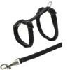 Trixie Harnais Avec Laisse Pour Chaton 19-31 Cm