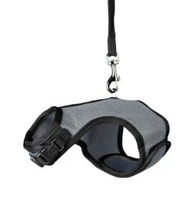 Trixie Harnais Soft Avec Laisse Pour Rongeur 14-19 Cm -Animal Compagnie Boutique trixie harnais soft avec laisse pour rongeur lapin nains