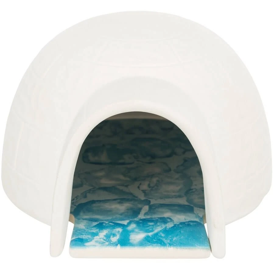Trixie Igloo Avec Plateau Rafraîchissant Pour Rongeurs 1 Trixie Igloo Avec Plateau Rafraîchissant Pour Rongeurs