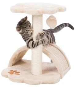 Trixie Arbre à Chat Vitoria Junior 43 Cm 10 Trixie Arbre à Chat Vitoria Junior 43 Cm -Animal Compagnie Boutique trixie junior arbre chat vitoria 43 cm 1