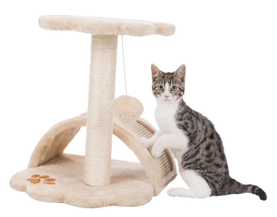 Trixie Arbre à Chat Vitoria Junior 43 Cm 2 Trixie Arbre à Chat Vitoria Junior 43 Cm – Image 2