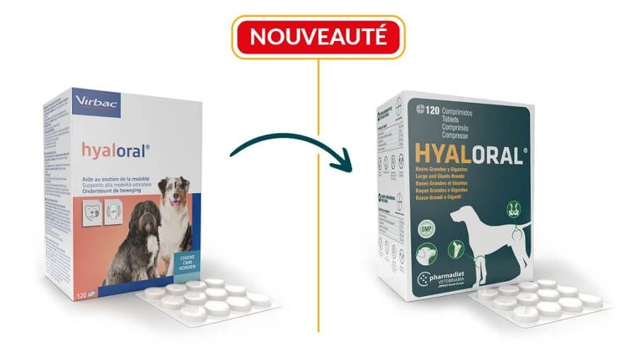 Virbac HYALORAL Chien Plus De 5 Kg 12 Cp 2 Virbac HYALORAL Chien Plus De 5 Kg 12 Cp – Image 2