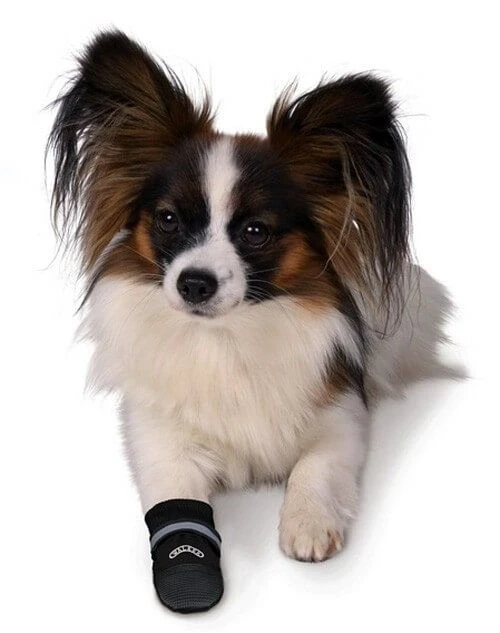 Trixie Bottes Protection Walker Care Confort XL X 2 2 Trixie Bottes Protection Walker Care Confort XL X 2 – Image 2