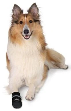 Trixie Bottes Protection Walker Care Confort L X 2 7 Trixie Bottes Protection Walker Care Confort L X 2 -Animal Compagnie Boutique walker care3 1 1 1