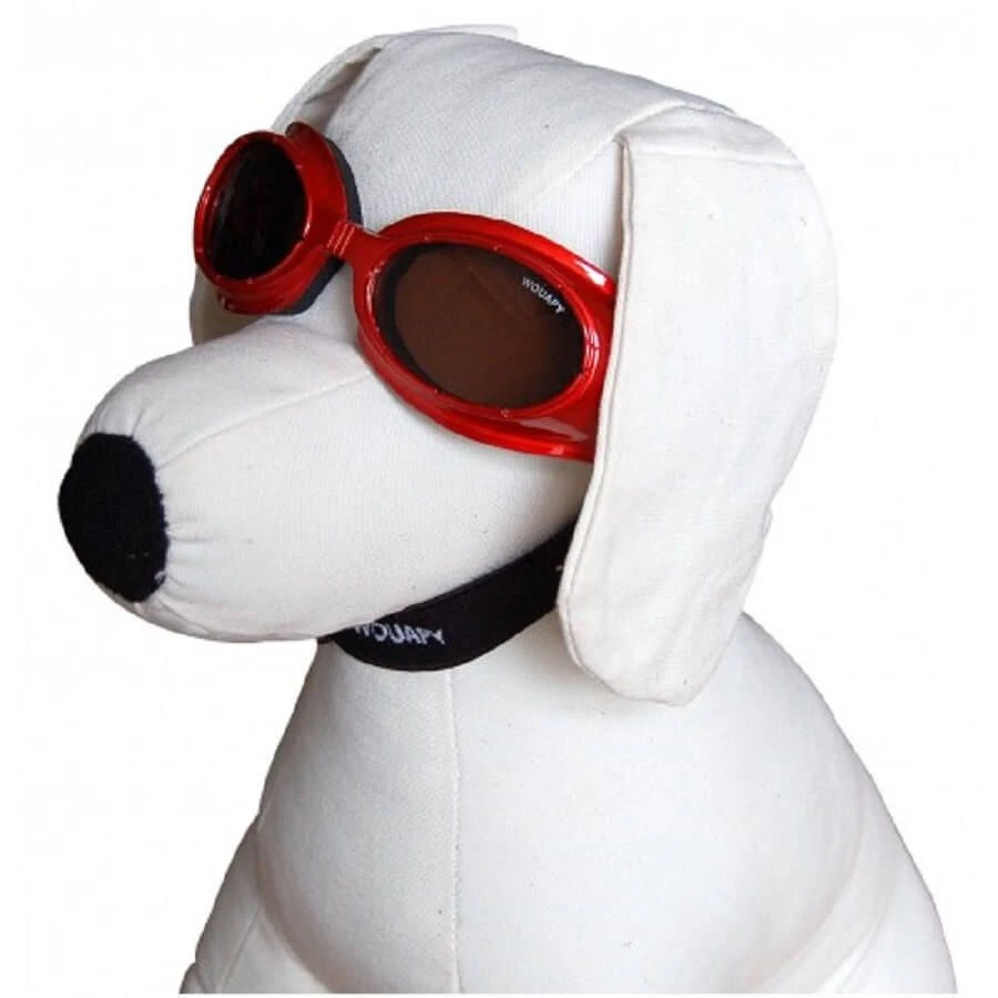 Wouapy Lunettes De Soleil Et Protection Chien 1 Wouapy Lunettes De Soleil Et Protection Chien