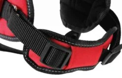 Zolux Harnais Confort Réglable MOOV Rouge M -Animal Compagnie Boutique zolux harnais confort re glable m4