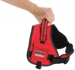 Zolux Harnais Confort Réglable MOOV Rouge M -Animal Compagnie Boutique zolux harnais confort re glable m6