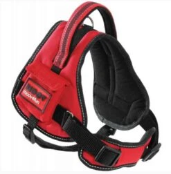 Zolux Harnais Confort Réglable MOOV Rouge XS -Animal Compagnie Boutique zolux harnais confort re glable xs5